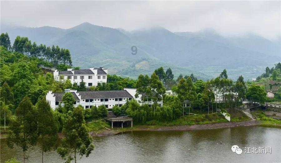 万泰生物2023年净利预降超七成