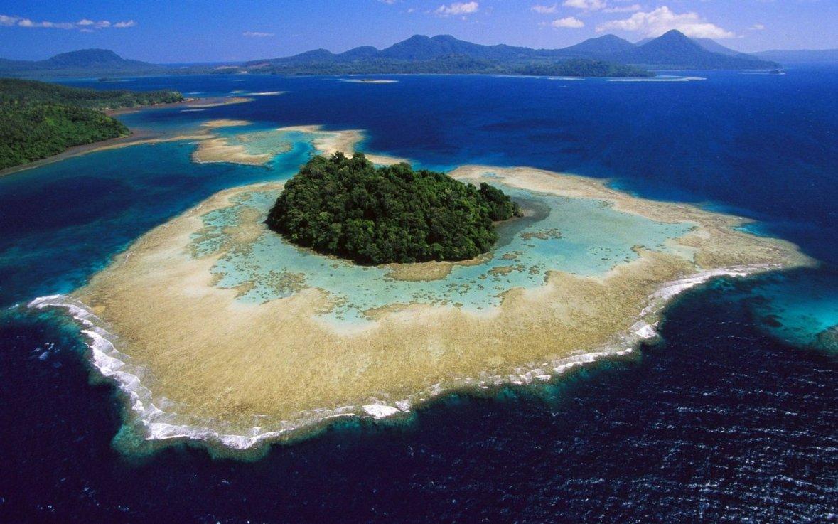 栀子落星海