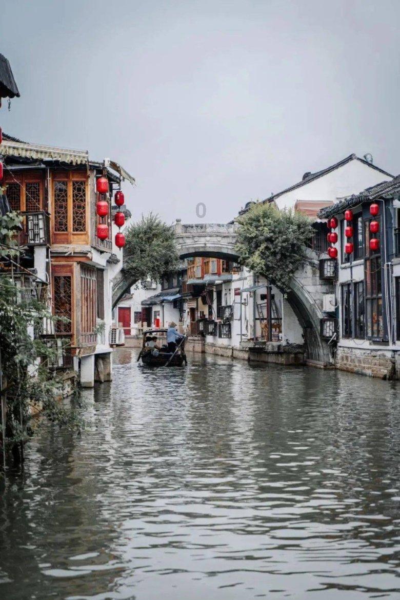 救援可爱的洋葱
